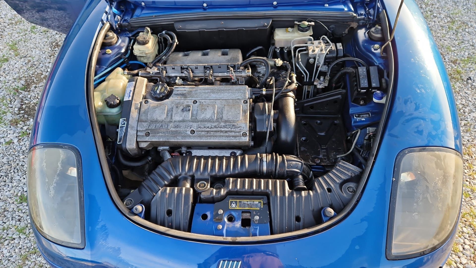 Fiat Barchetta 1.8 16V codice motore: 183a1.000 7 WhatsApp Image 2023-04-06 at 18.23.54