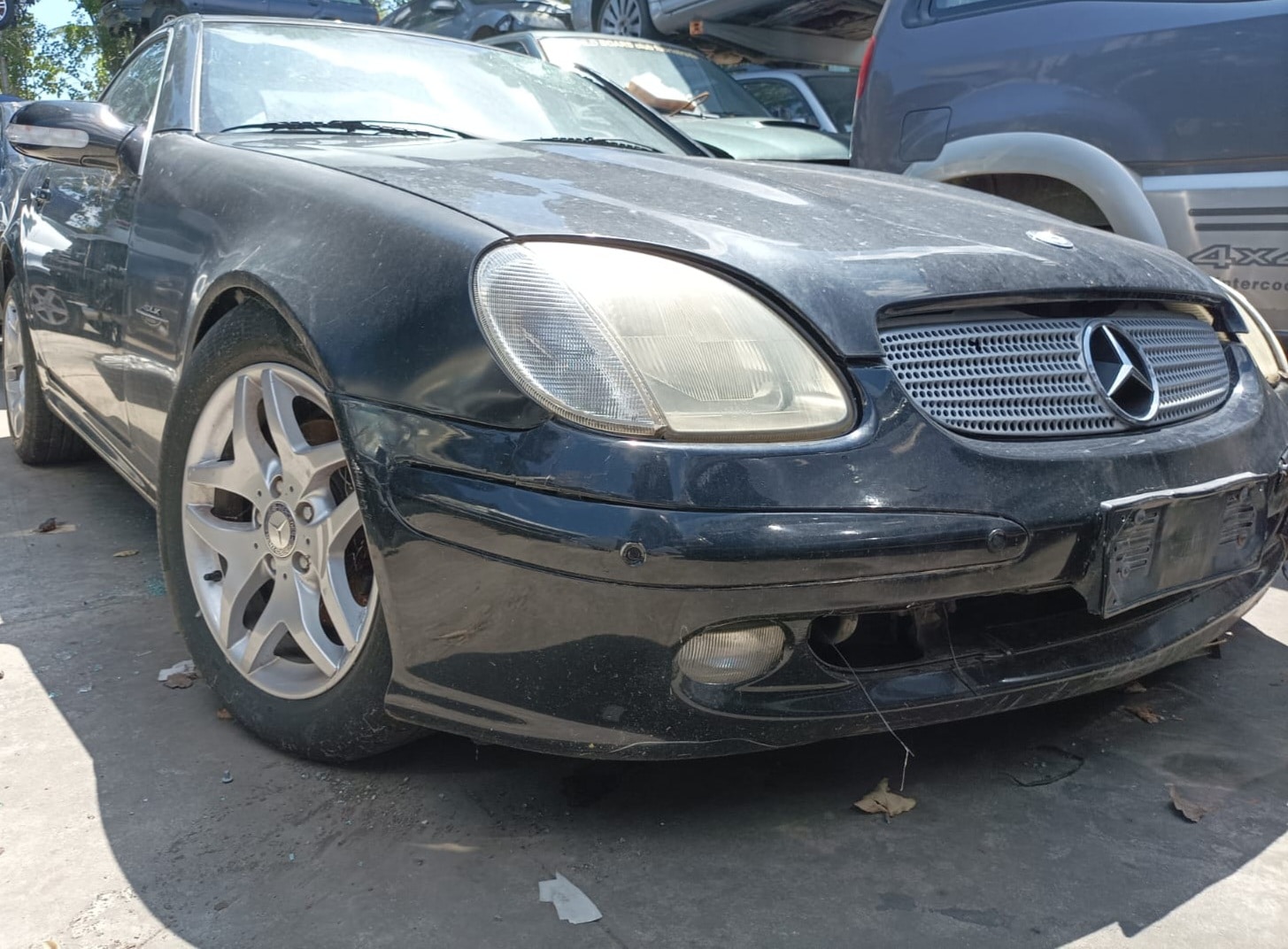 IMG-20240625-WA0093