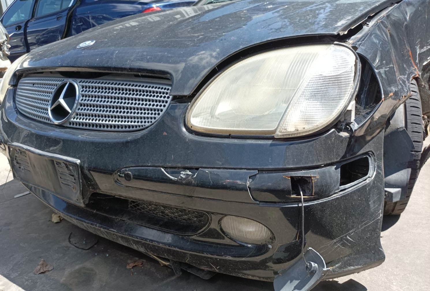 IMG-20240625-WA0094