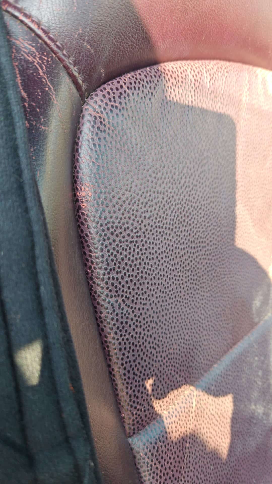 IMG-20250210-WA0395