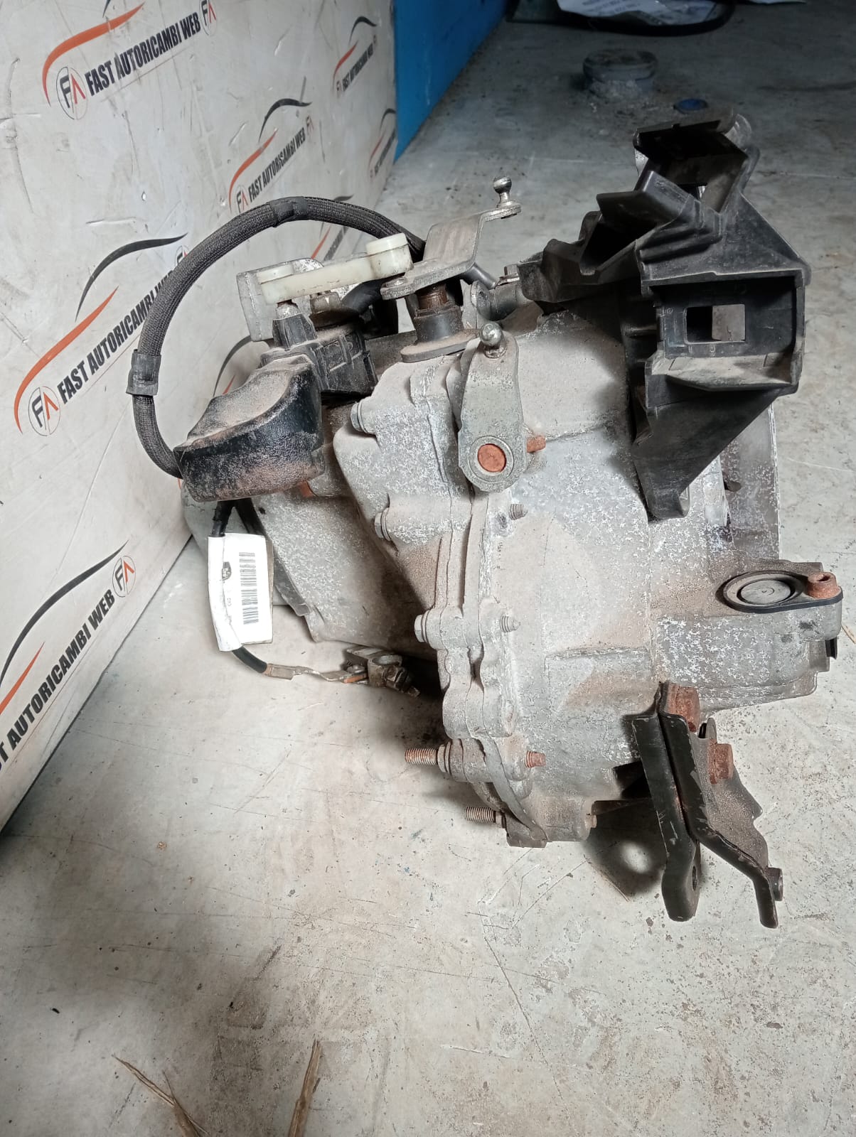 Immagine WhatsApp 2025-04-12 ore 11.06.52_5d10afe1