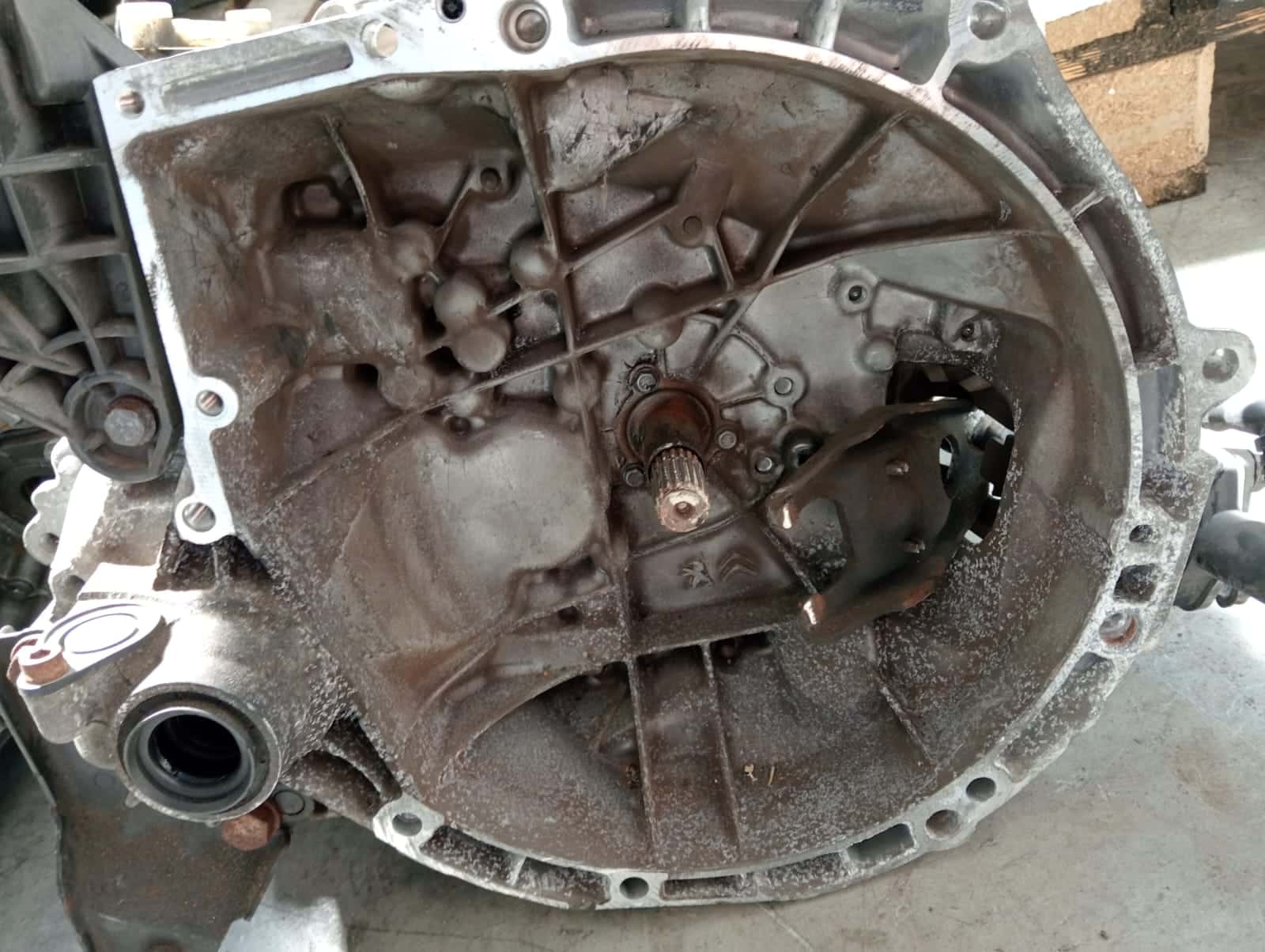 Immagine WhatsApp 2025-04-12 ore 11.06.52_9cffb375