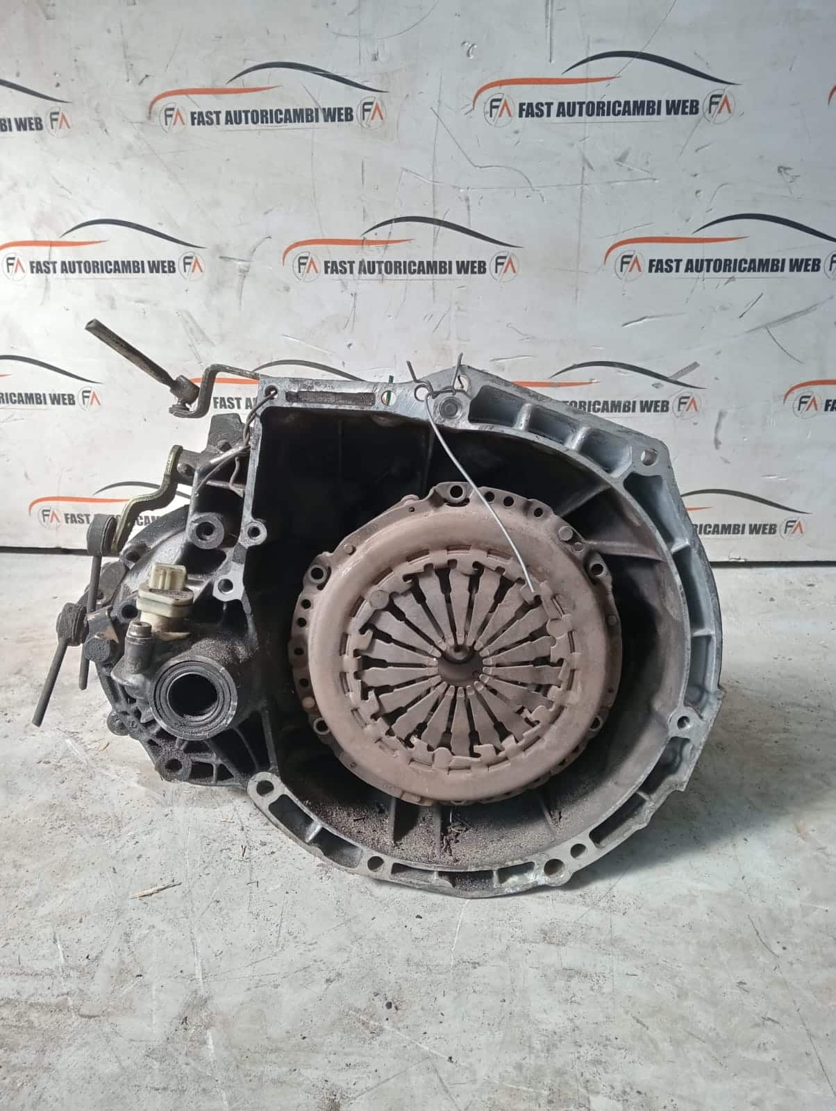 Immagine WhatsApp 2025 04 12 ore 11.17.23 425a9e17