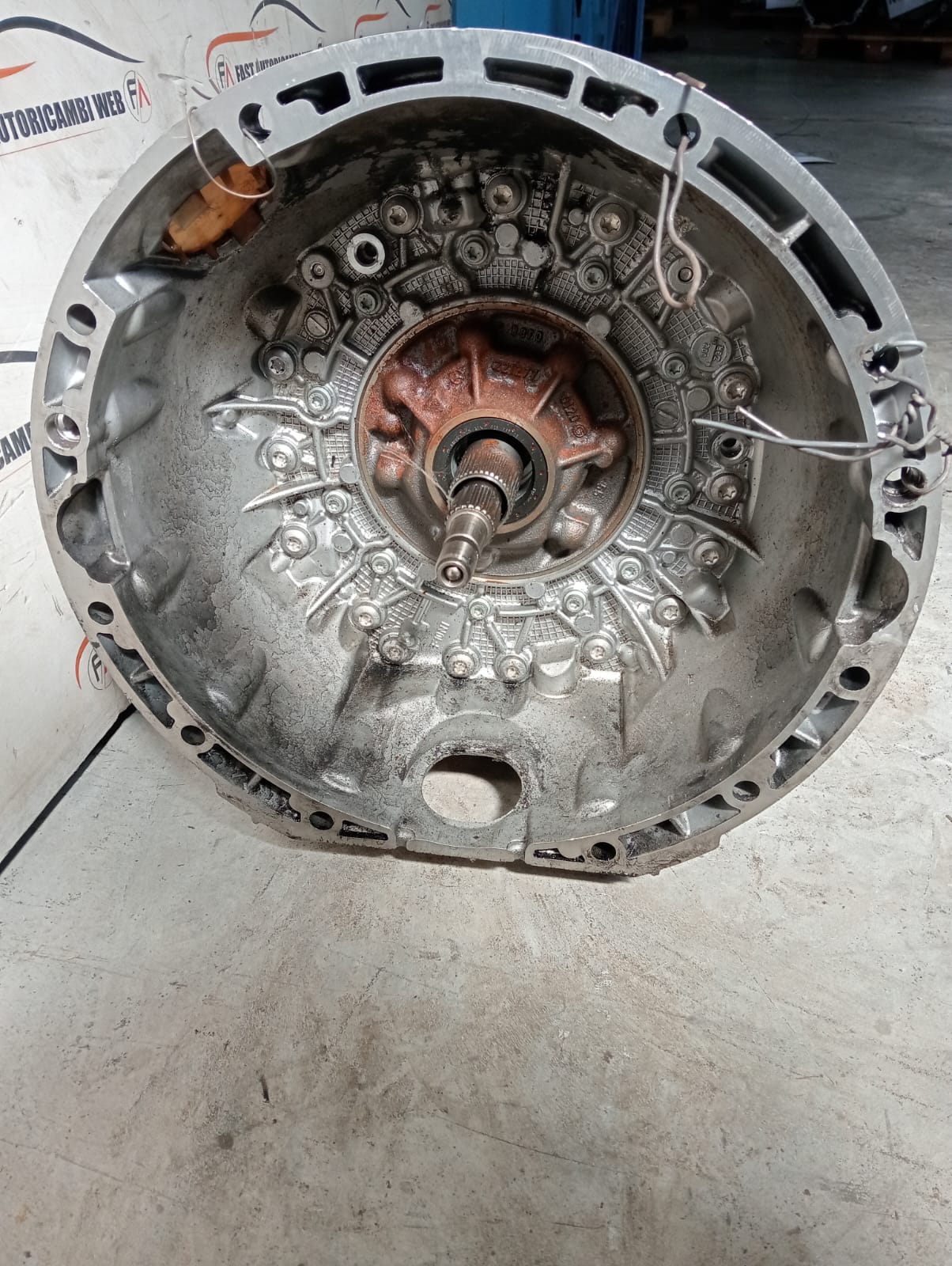 Immagine WhatsApp 2025-04-12 ore 11.26.03_c041c424