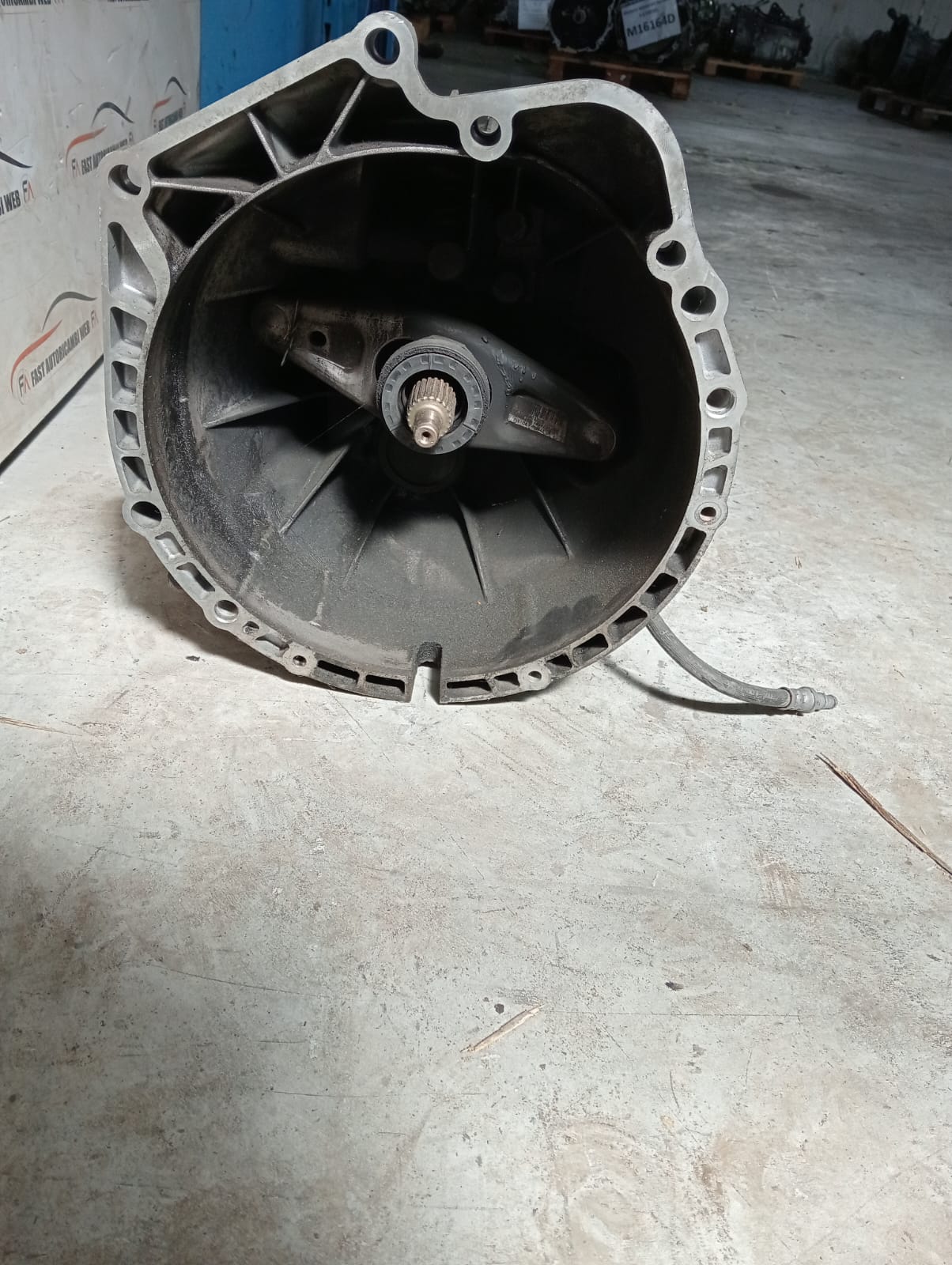 Immagine WhatsApp 2025-04-12 ore 11.53.48_b68a2123