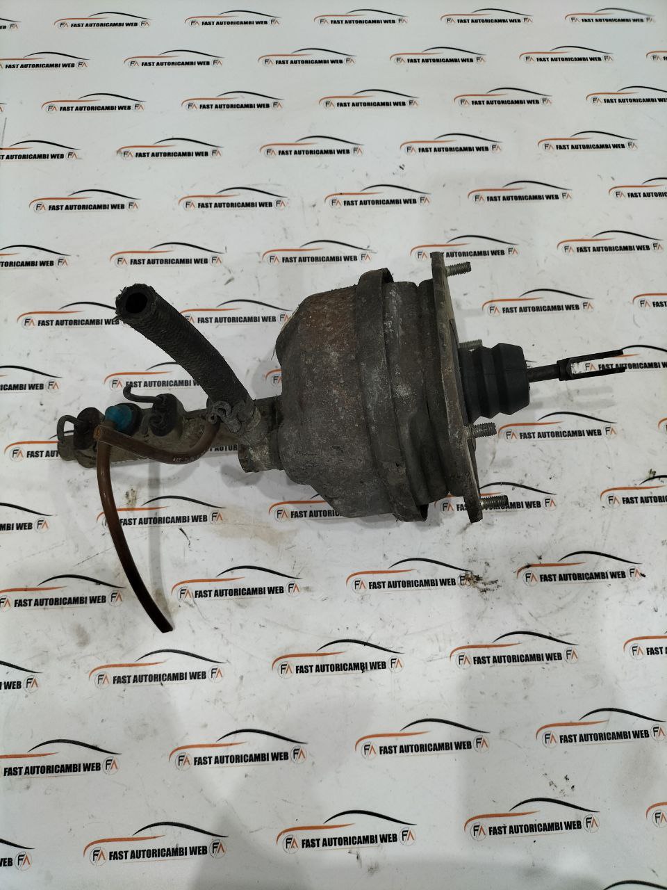 photo 1 2025 11 24 10 23 55