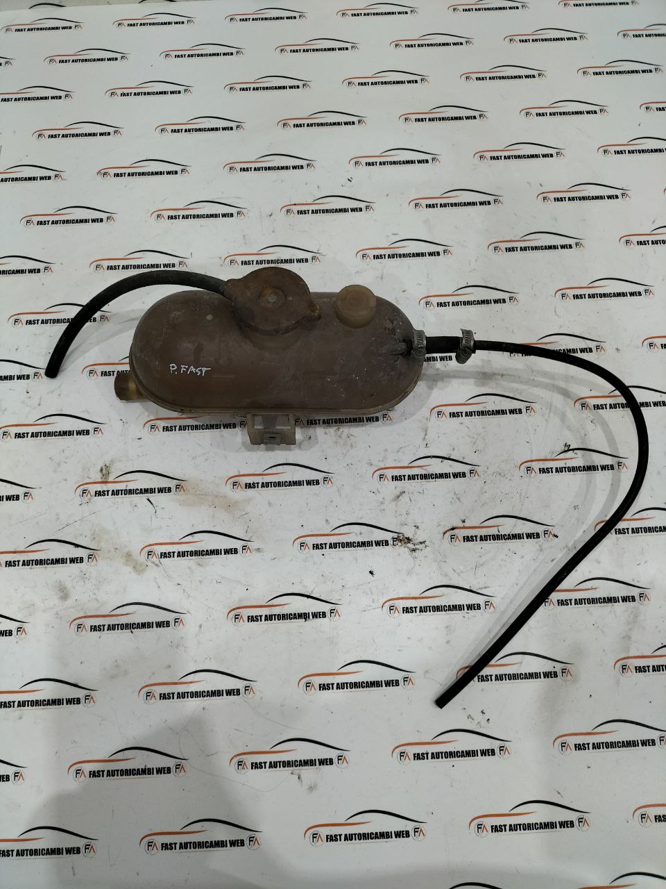 photo 1 2025 11 24 10 50 14