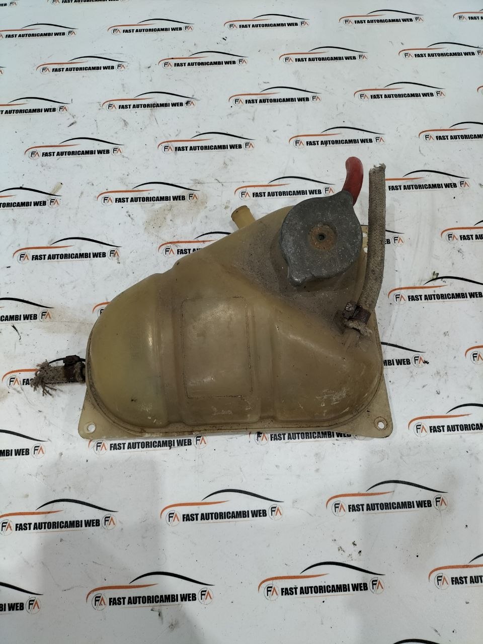 photo 1 2025 11 24 11 05 36