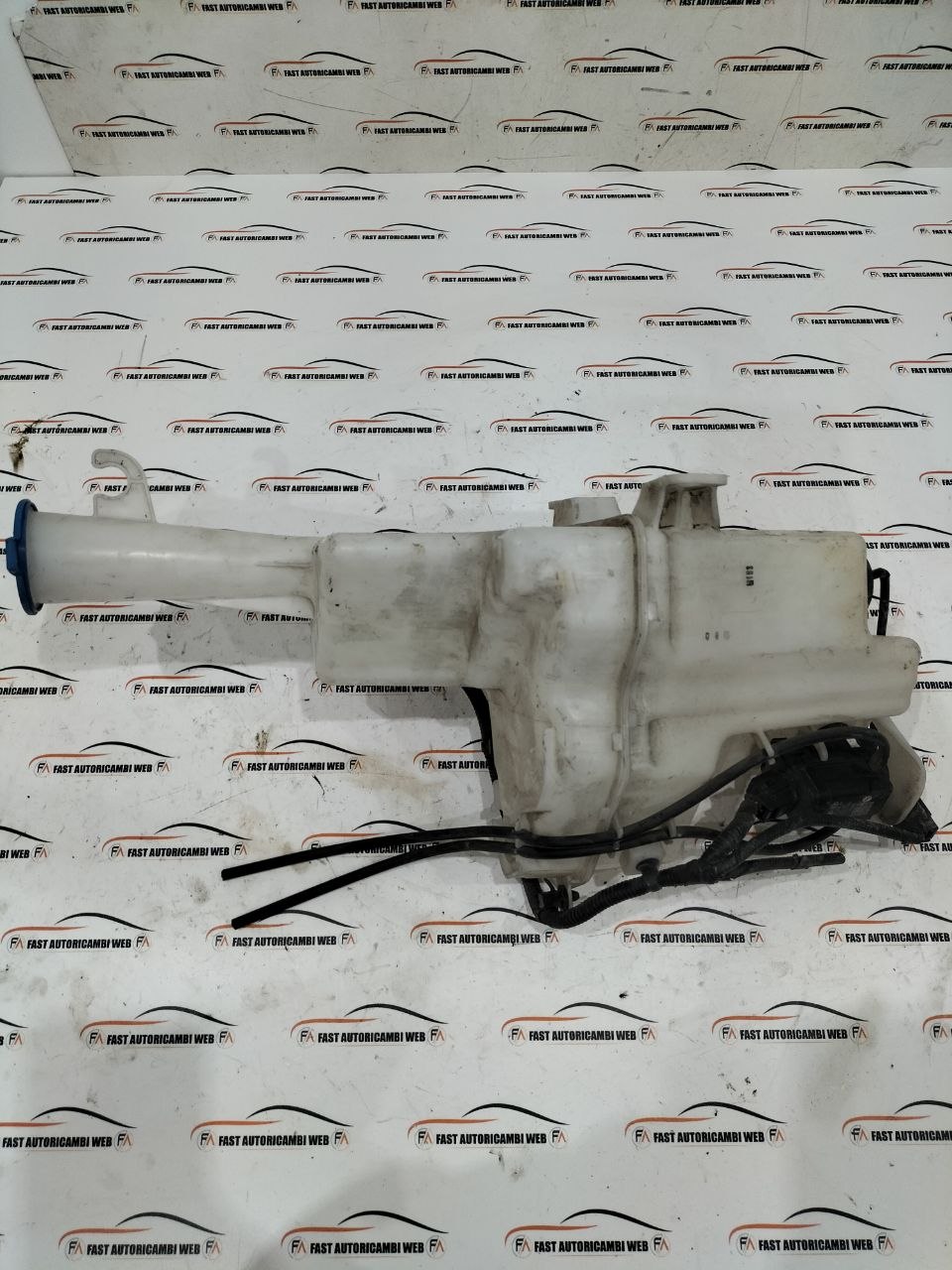 photo_1_2025-11-24_11-17-11