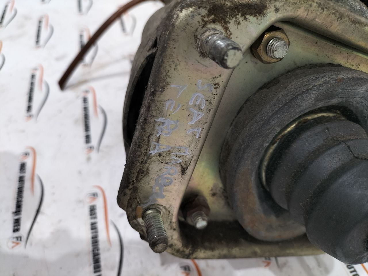 photo_2_2025-11-24_10-23-55