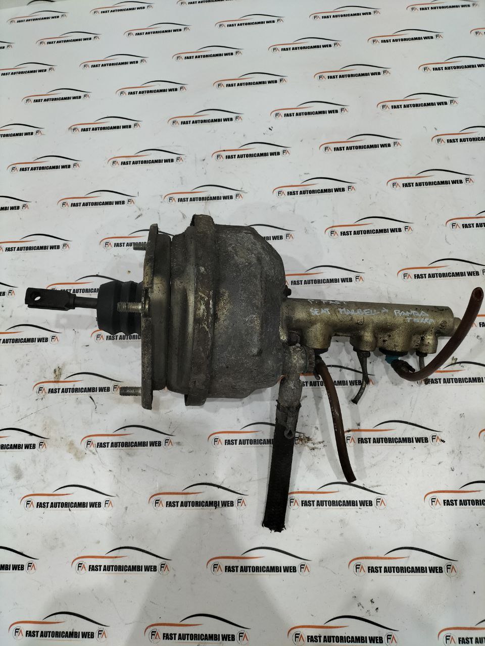 photo_3_2025-11-24_10-23-55