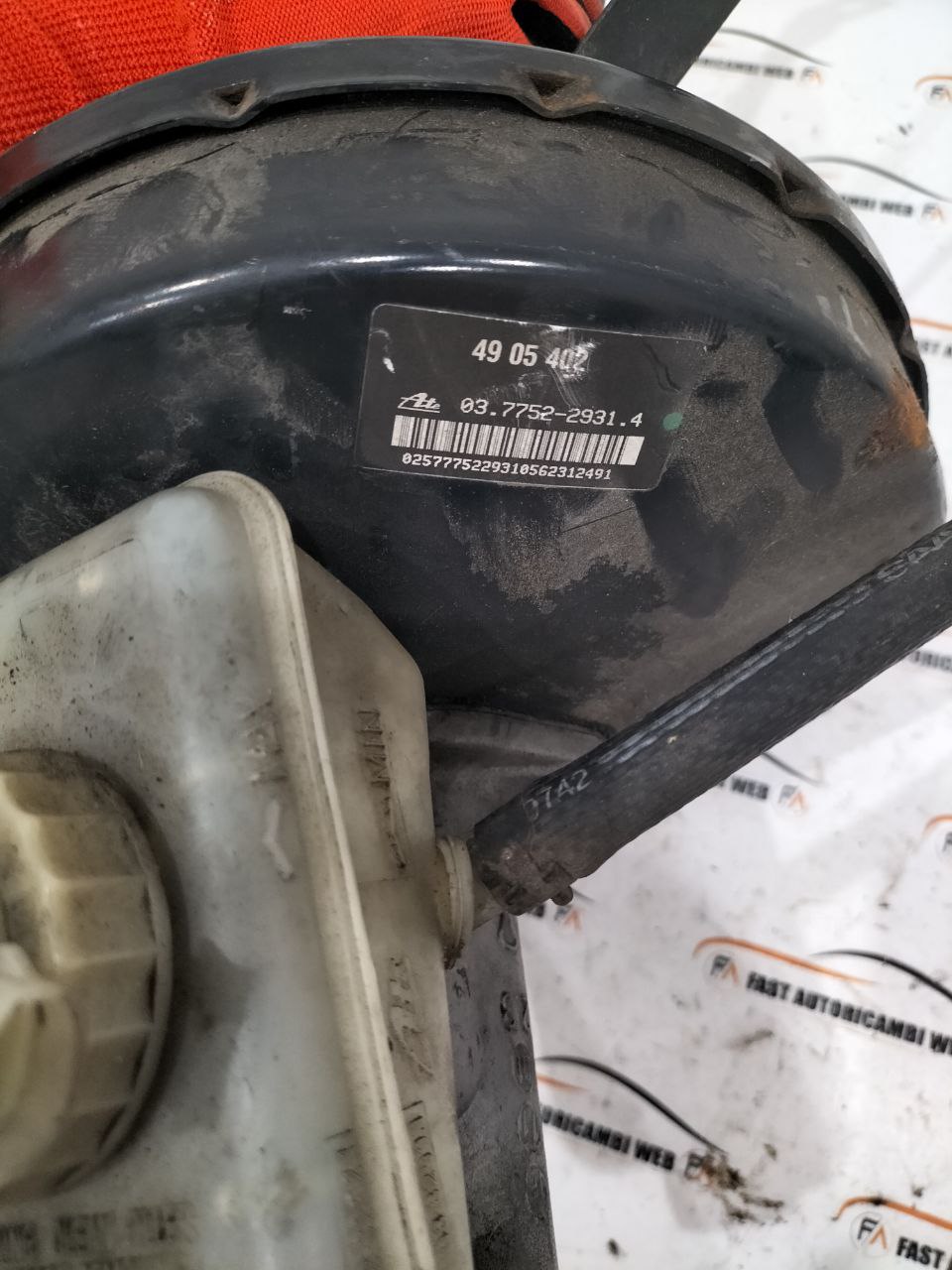 photo_3_2025-11-24_10-56-19