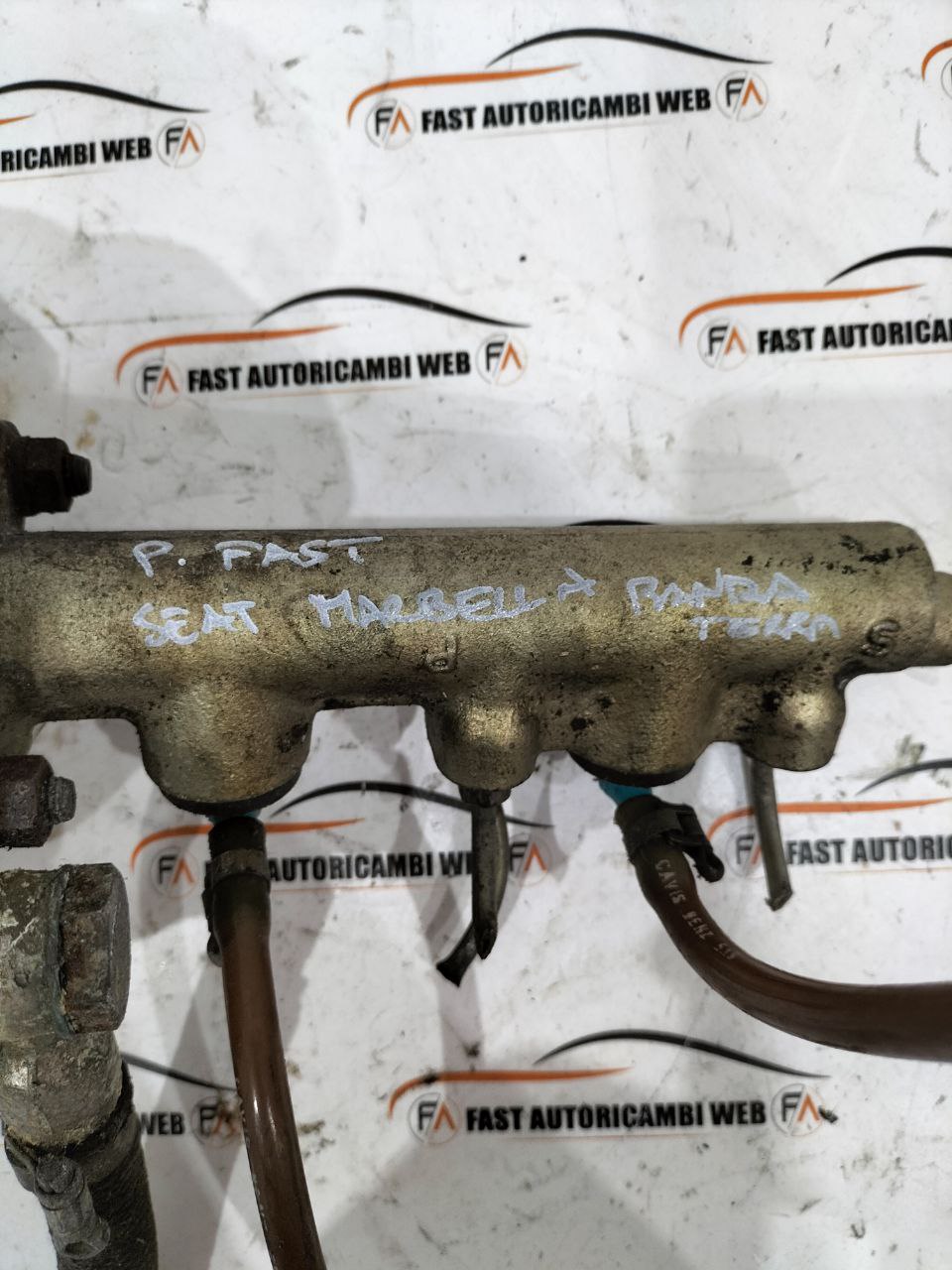 photo_4_2025-11-24_10-23-55